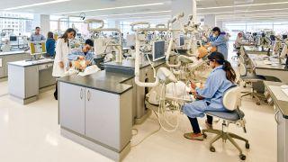 students working in a dental lab